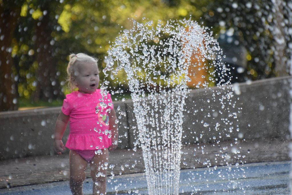 flowers and marthas fountain8-19 084 (1024x683).jpg